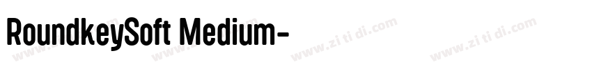 RoundkeySoft Medium字体转换